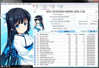 diskdata.jpg