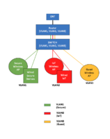 Network Layout 2.png