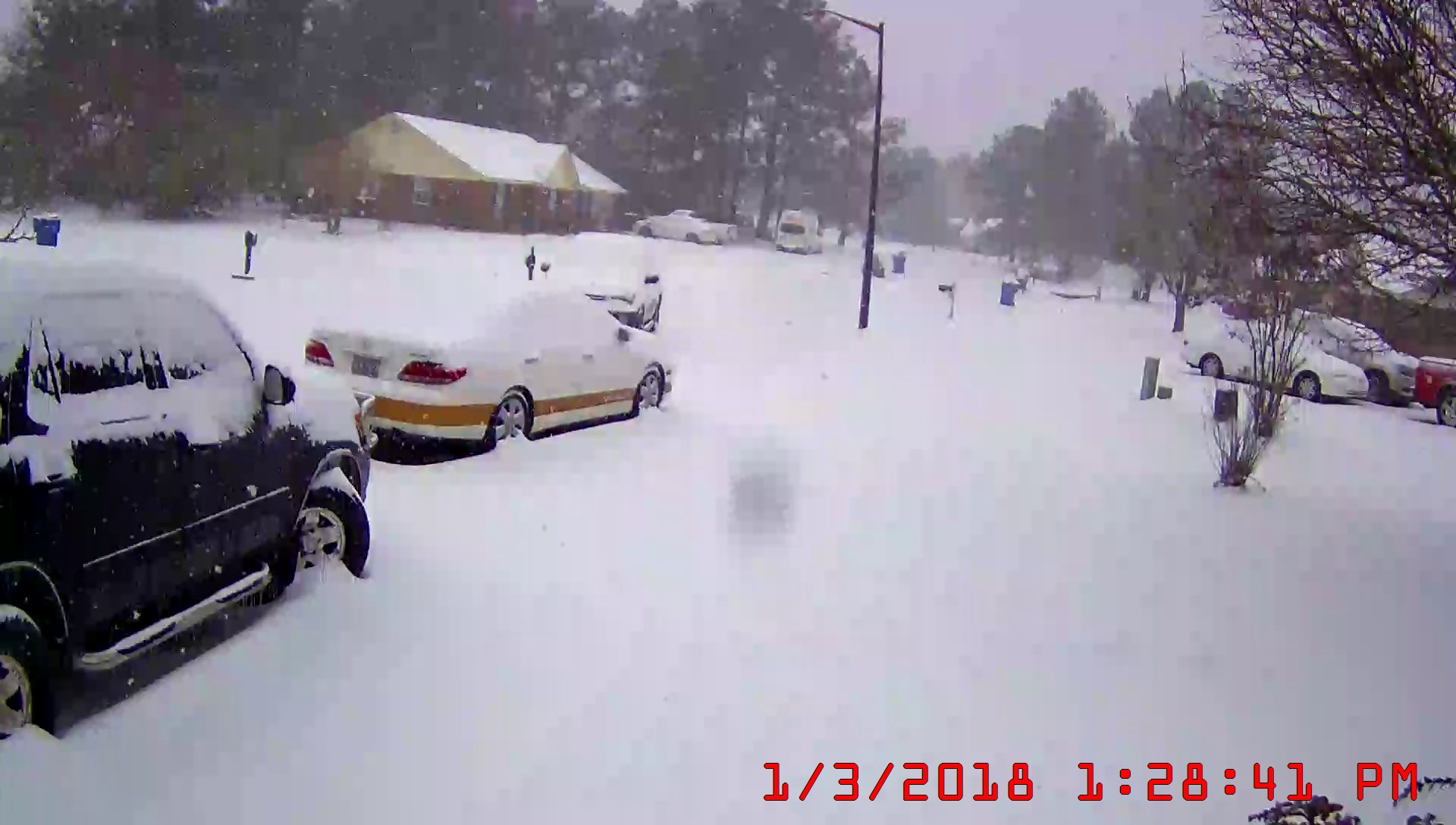 Driveway7.jpeg