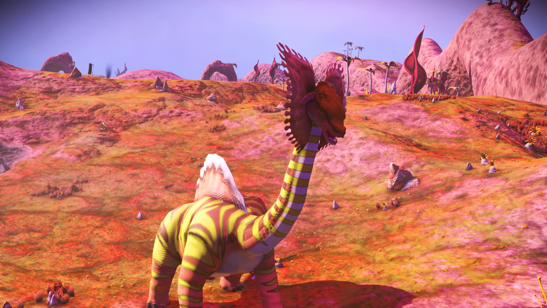 NMS3.jpg