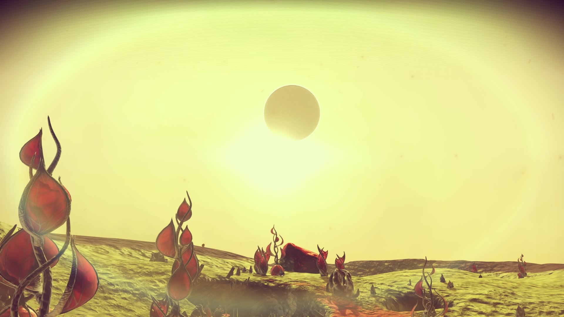 NMS2.jpg