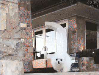source.gif