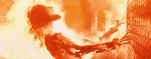 1F8msrA.gif