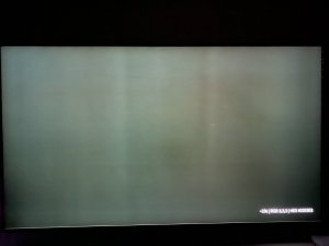IMG_0233.JPEG