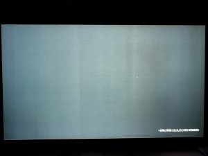 IMG_0235.JPEG