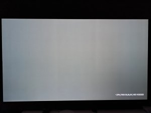 IMG_0237.JPEG