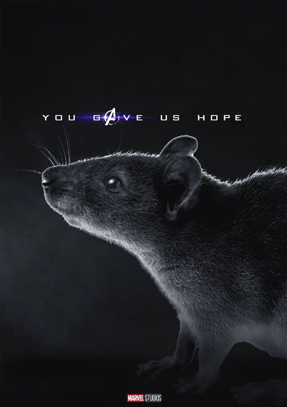 1614726899722.png