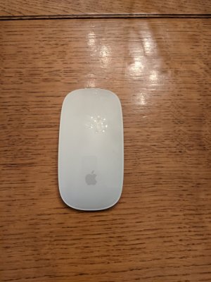 Magic Mouse 2.jpg