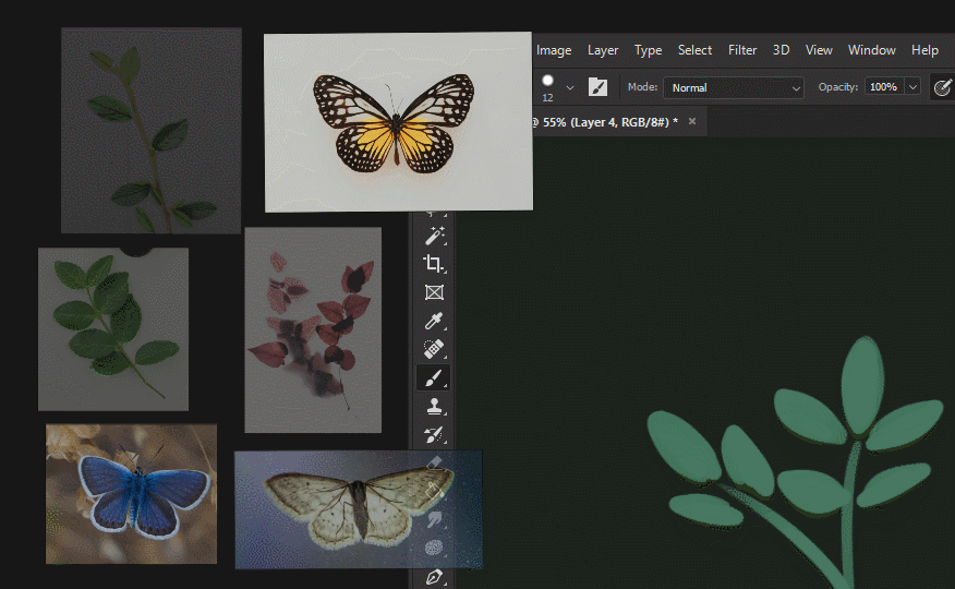 front_example2.gif
