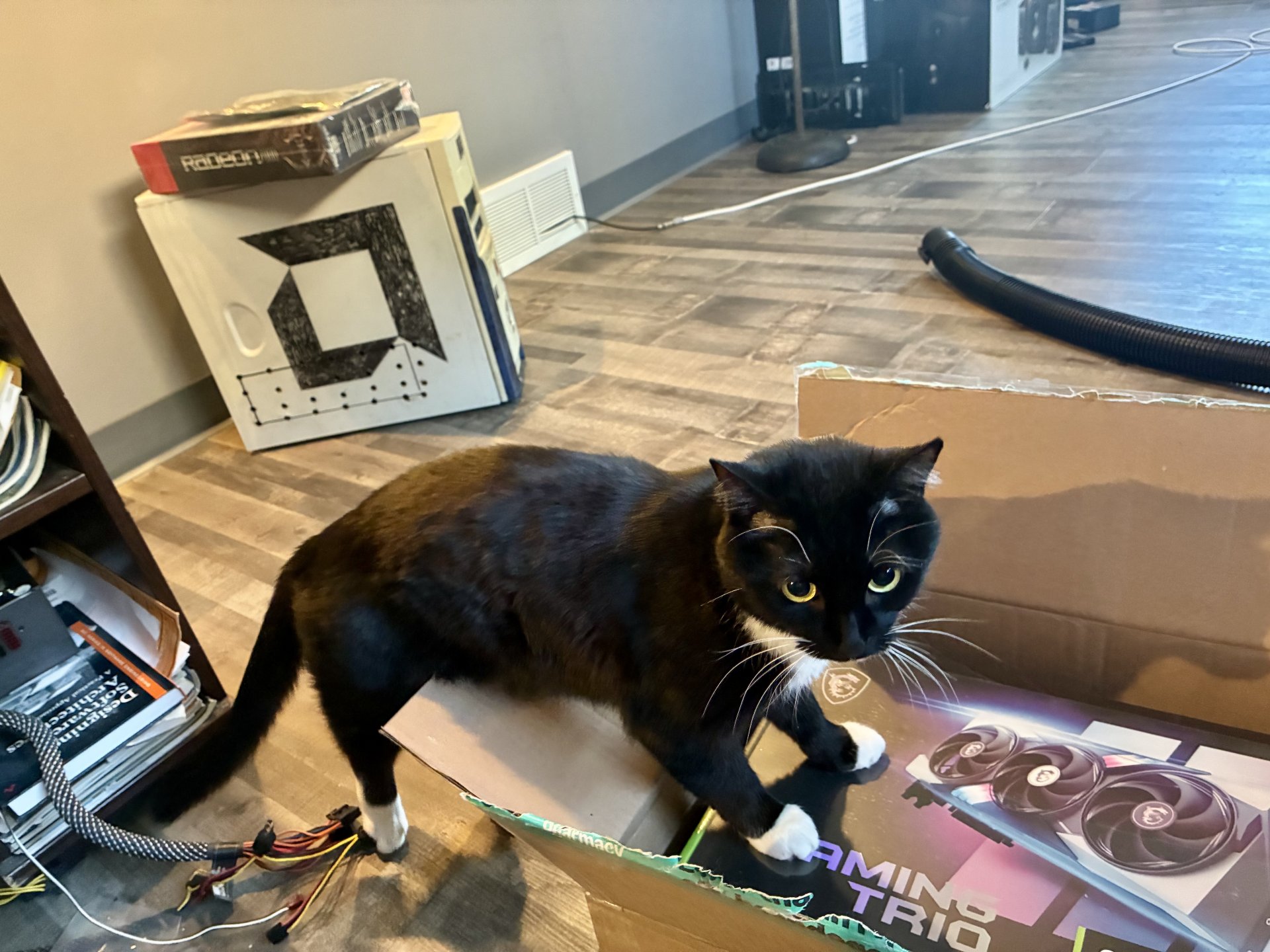 IMG_0180.jpeg