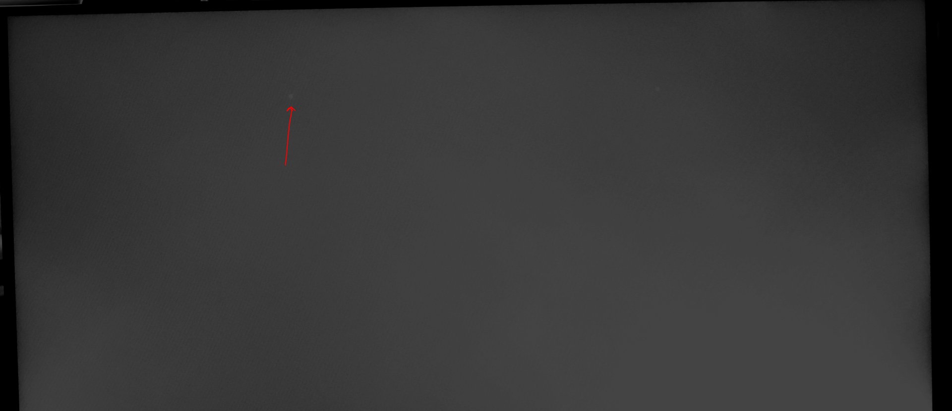 Spot.jpg